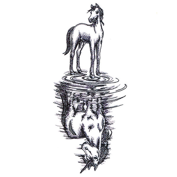 Unicorn Reflection