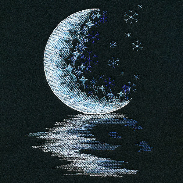 Moonlit Reflections on a Winter's Night