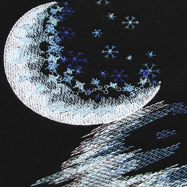 Moonlit Reflections on a Winter's Night