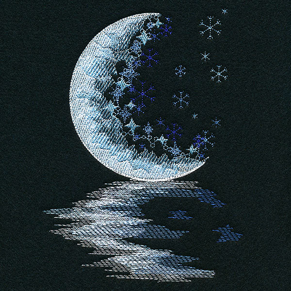Moonlit Reflections on a Winter's Night
