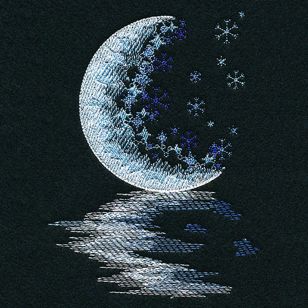 Moonlit Reflections on a Winter's Night