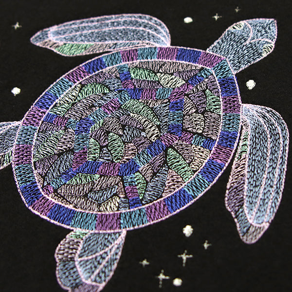 Galactic Sea Turtle