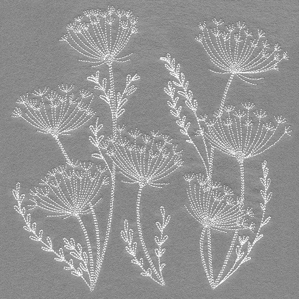 Blooming Queen Anne's Lace Square