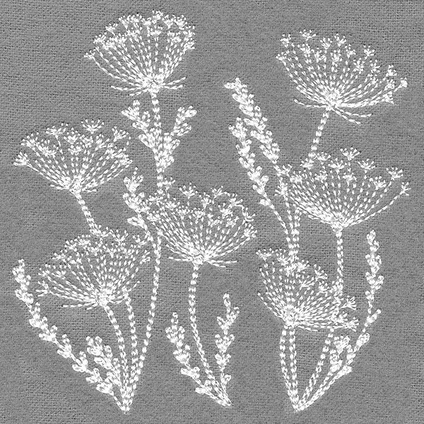 Blooming Queen Anne's Lace Square