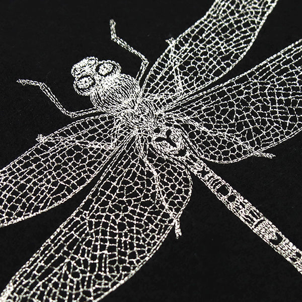 Delicate Dragonfly