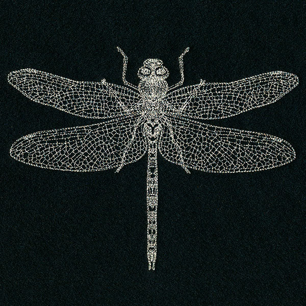 Delicate Dragonfly