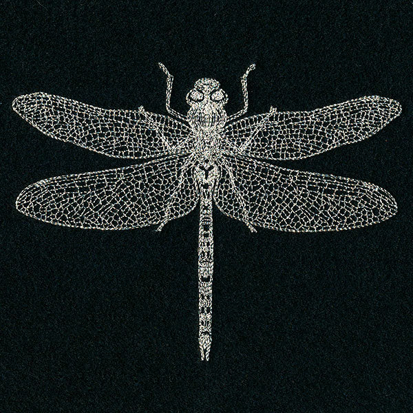 Delicate Dragonfly