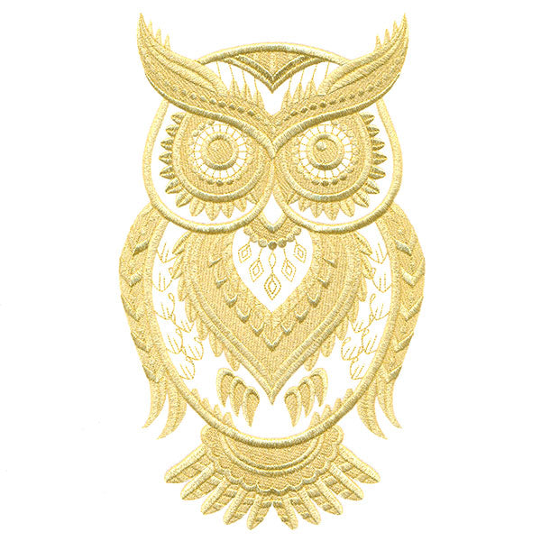 Glistening Wise Owl