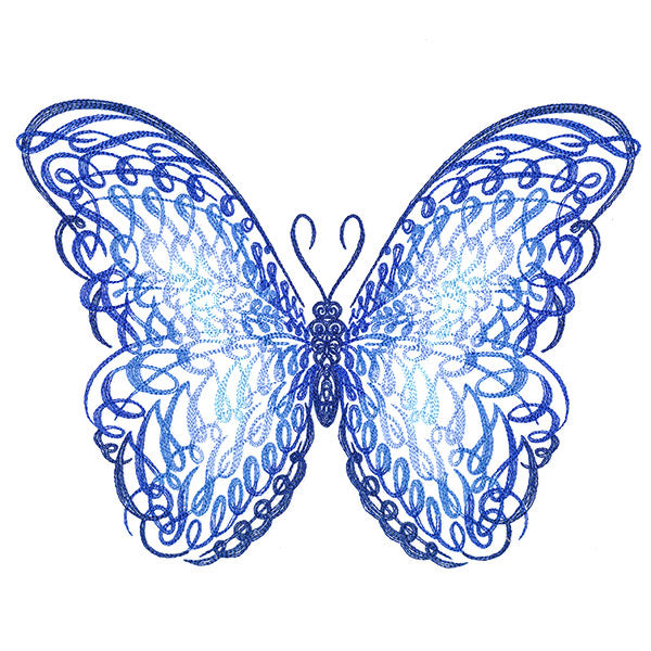 Calligraphic Morpho Butterfly