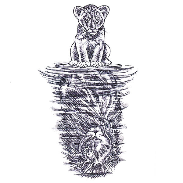 Lion Reflection