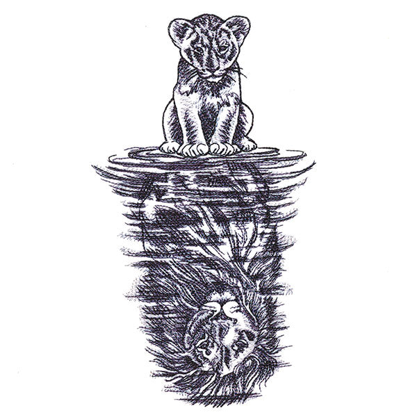 Lion Reflection