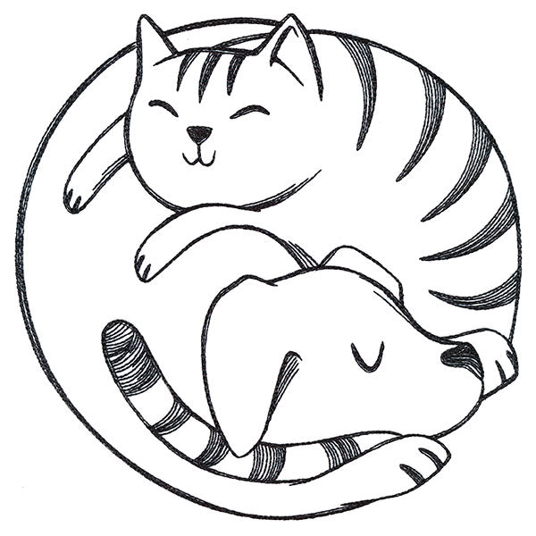 Paw-sitively Snuggly Cat & Dog