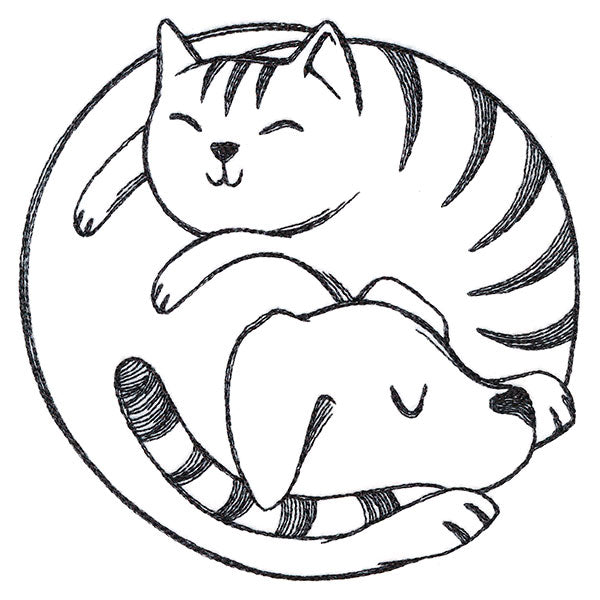 Paw-sitively Snuggly Cat & Dog