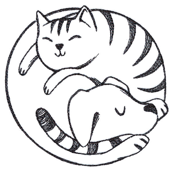 Paw-sitively Snuggly Cat & Dog