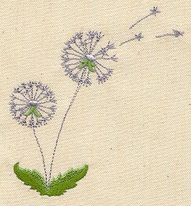 Dandelion Dream