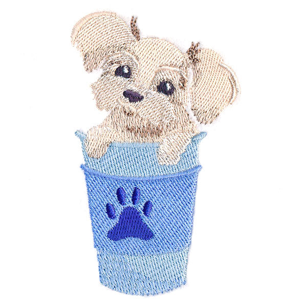 Pup-ppuccino Maltipoo