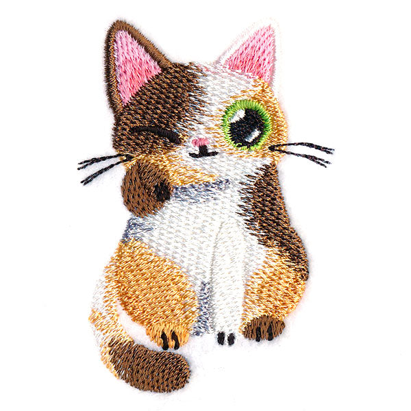 Playful Calico Kitty