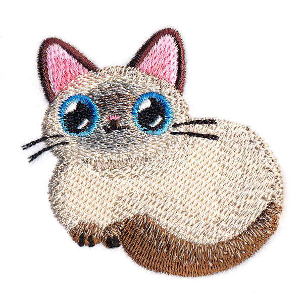 Playful Siamese Kitty