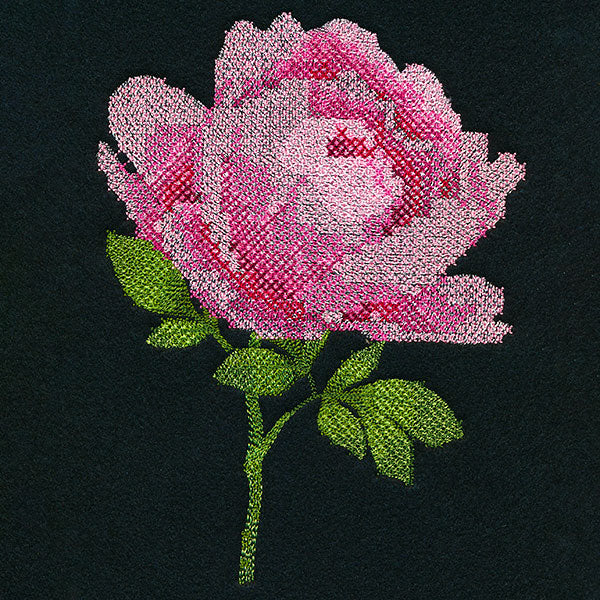 Peony in Pixels (Cross Stitch)