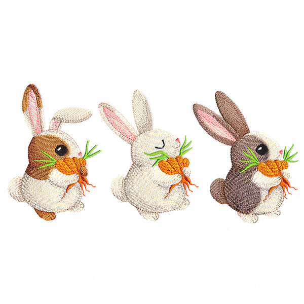 Hoppy Bunny Promenade Border