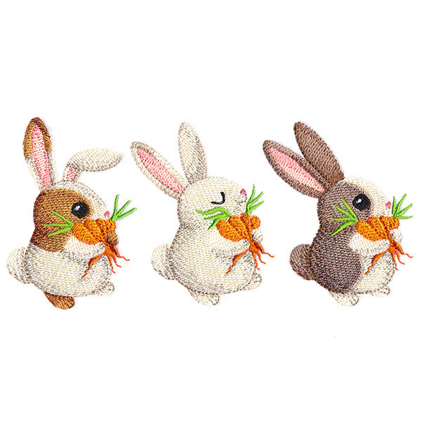 Hoppy Bunny Promenade Border