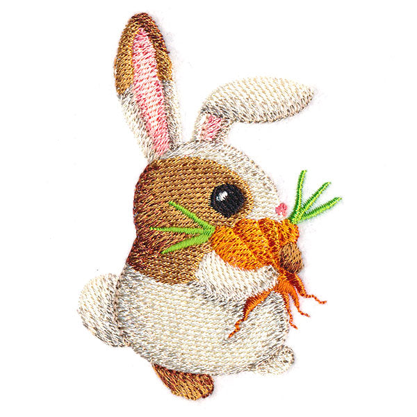 Hoppy Bunny 1