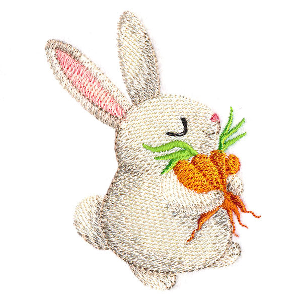 Hoppy Bunny 2