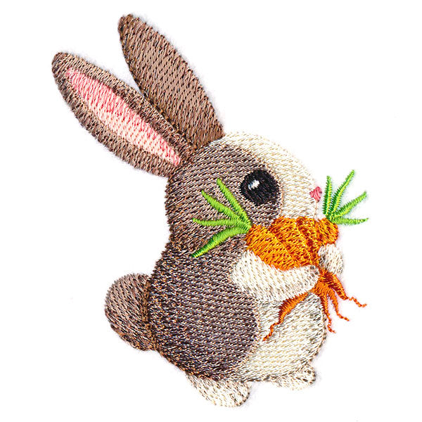 Hoppy Bunny 3
