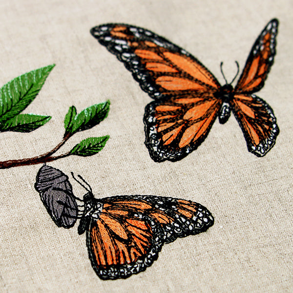 Metamorphosis Monarch