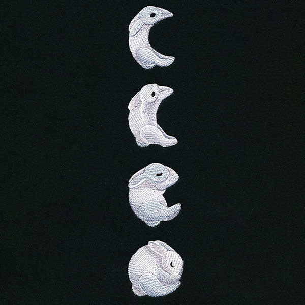 Bunny Moon Phases