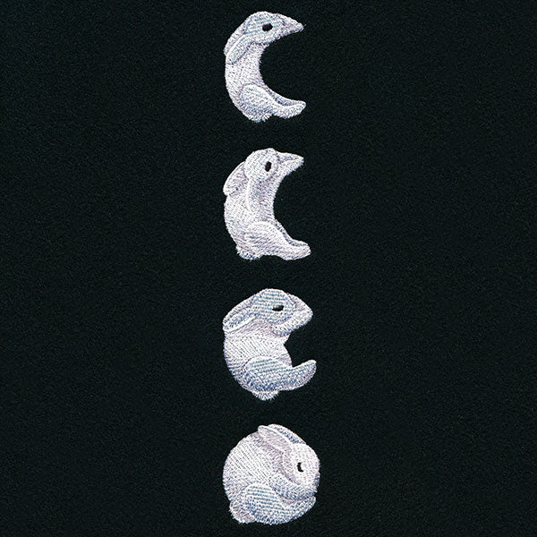 Bunny Moon Phases