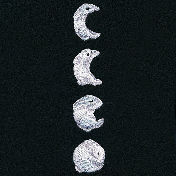 Bunny Moon Phases