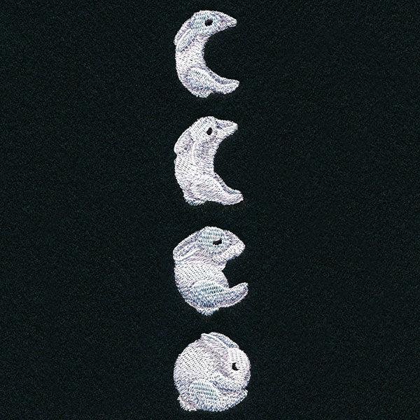 Bunny Moon Phases