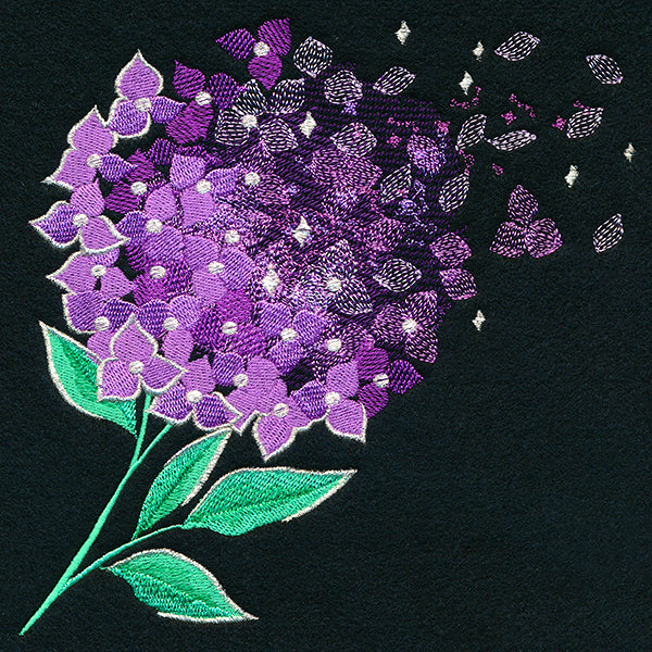 Make A Wish Hydrangea