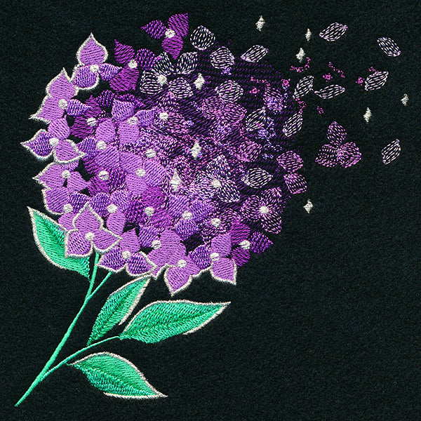 Make A Wish Hydrangea