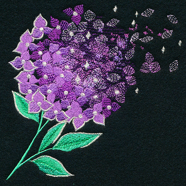 Make A Wish Hydrangea