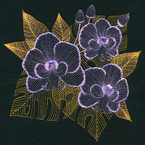 Tropical Dreams Orchid