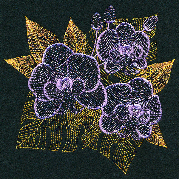 Tropical Dreams Orchid