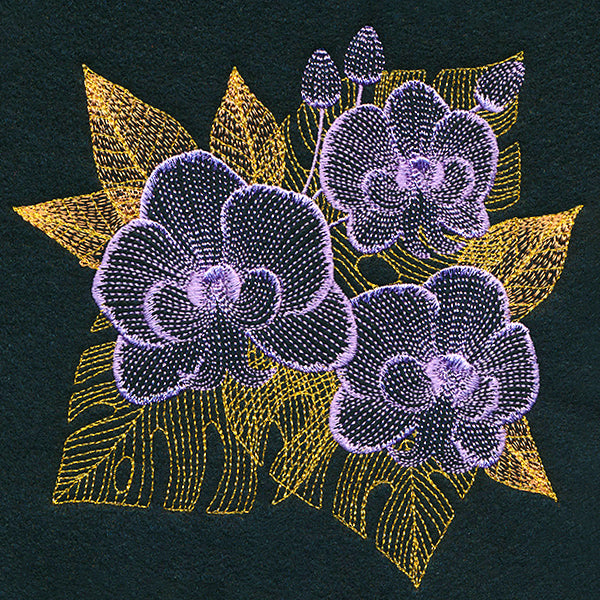 Tropical Dreams Orchid