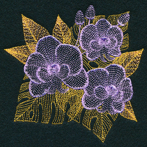 Tropical Dreams Orchid