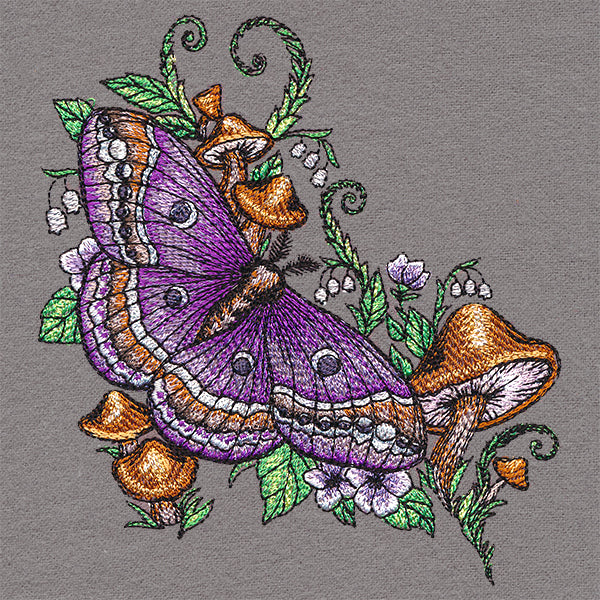 Woodland Garden Moth