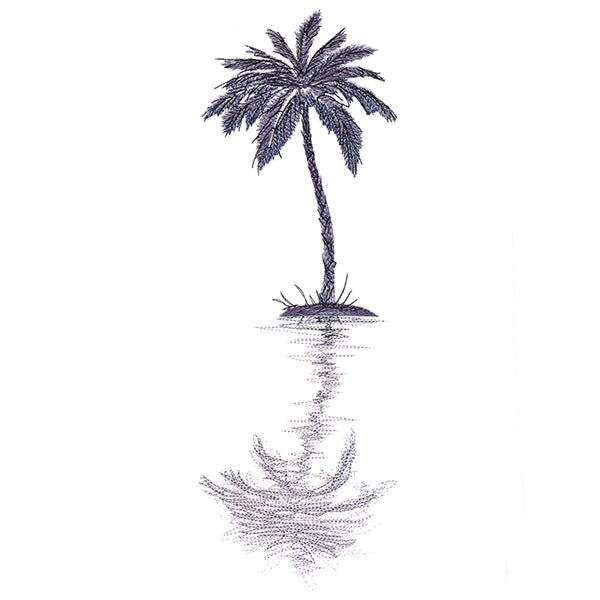 Palm Tree Reflection
