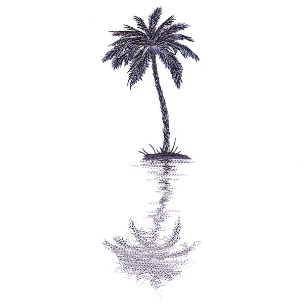 Palm Tree Reflection