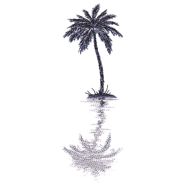 Palm Tree Reflection