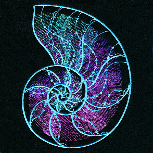 Deep Sea Mirage Nautilus Shell