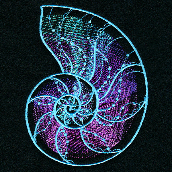Deep Sea Mirage Nautilus Shell