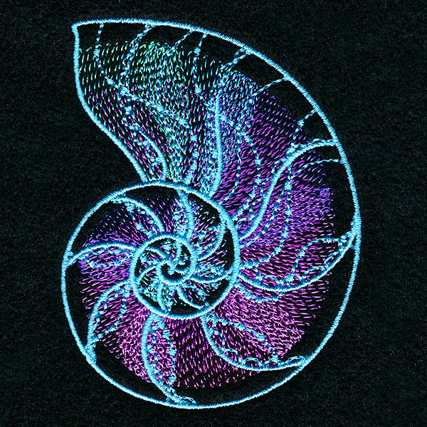 Deep Sea Mirage Nautilus Shell