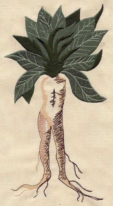 Mandrake