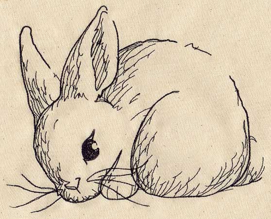 Bunny Sketch