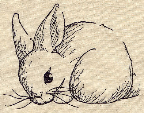 Bunny Sketch